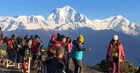 Days Ghorepani Poonhill Ghandruk Village Trek From Pokhara Klook