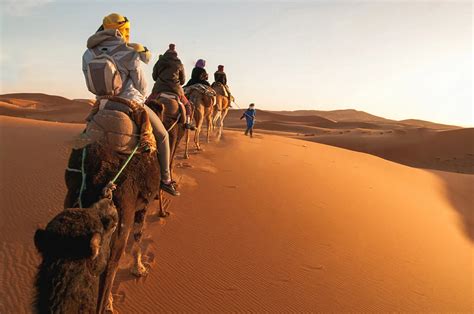 Camel Trekking Merzouga