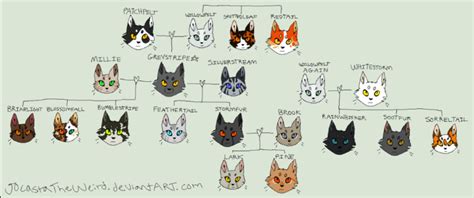 Warrior cats - Family tree's