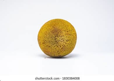 Borneo Exotic Fruit Buah Tarap Stock Photo 1830384008 | Shutterstock