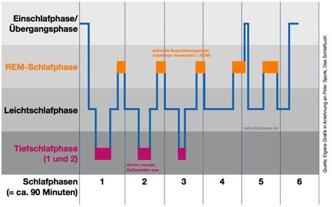 Tiefschlafphase Warum Gesunder Schlaf So Wichtig Ist