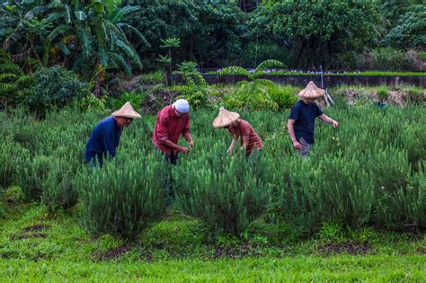 【2024 Women Of The Year】芙彤園創辦人詹茹惠：為社會企業打造成功的獲利模式！