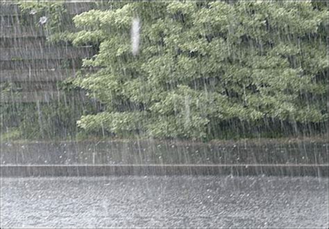 Heavy rainfall alleviates intensity of heat in various areas