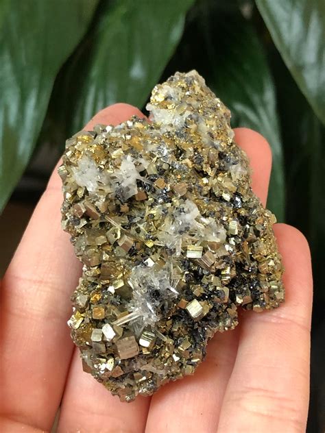 Chalcopyrite Cluster With Quartz Crystal Fools Gold Etsy