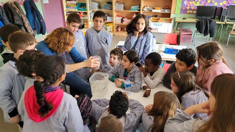 FENT DE CIENTÍFICS Escola Les Muralles