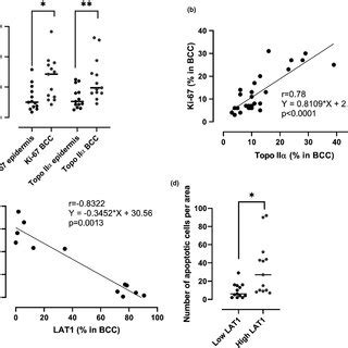 A Significant Difference In Expression Of Ki And Topoisomerase