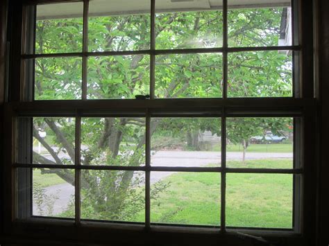 Kathleen T. Jaeger: How looking outside my kitchen window taught me something about faith