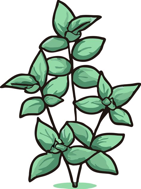 Oregano Png Graphic Clipart Design Png