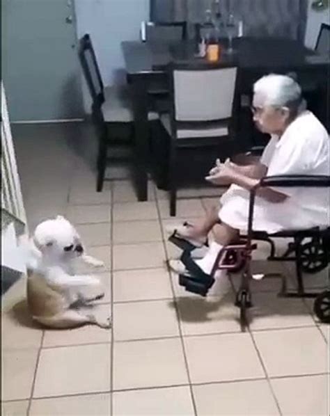 Regardez comment cette grand mère et son chien passent leur temps