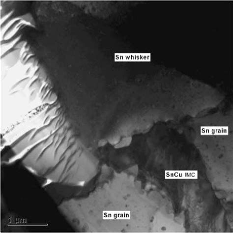 Focused Ion Beam Preparation Of Cross Section Tem Samples Download Scientific Diagram