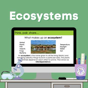 Ecosystems KS3 By CMGs Science Lessons TPT