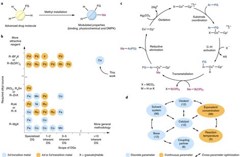 Realizing A CH Activationmethylation Protocol For LSF A Magic Methyl