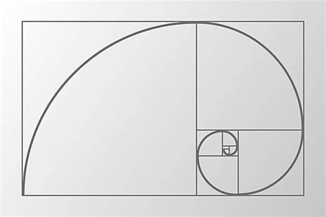 Proporci N Aurea Png Vectores Psd E Clipart Para Descarga Gratuita