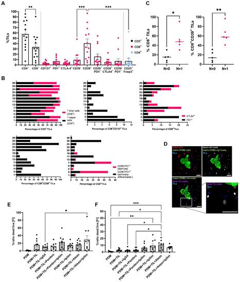 Cancers Special Issue Patient Derived Cancer Models