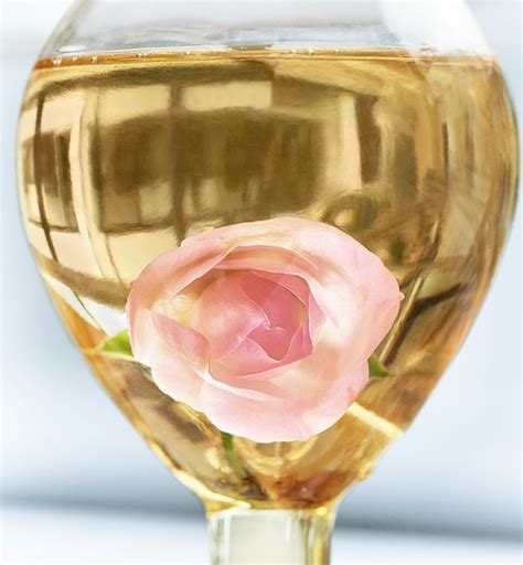 DIOR SKINCARE, 50 YEARS OF FLORAL SCIENCE TO ENHANCE SKIN'S BEAUTY ...