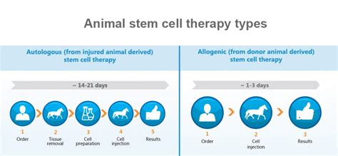 Animal Stem Cell Therapy types - Medrego