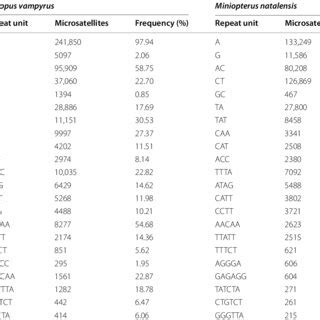 The Most Frequent Microsatellite Motifs Found In The Genomes Of