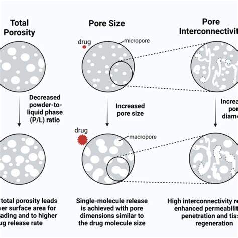 Schematic Illustration Presenting The Effect Of Porosity On The Drug