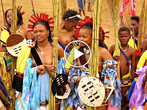 Swaziland Reed Dance Ceremony Click To Watch Video Amazing Tube