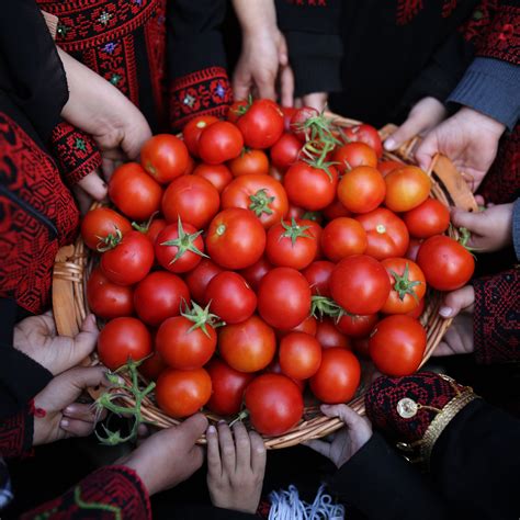 برنامج الأغذية العالمي التابع للأمم المتحدة Wfp Arabic Twitter