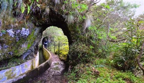 Madeira Levada S Echt Mooiste Plekken Top