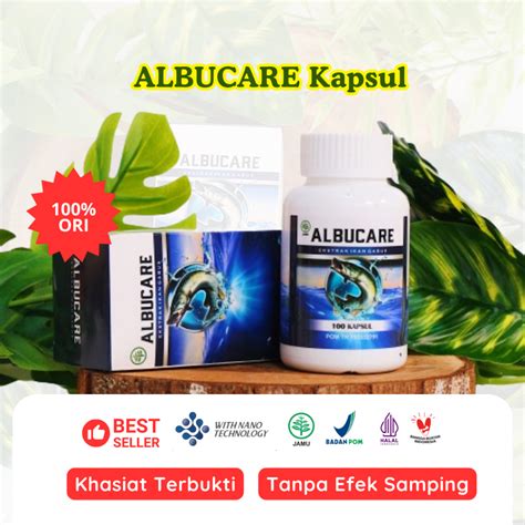 Jual Albucare Kapsul Albumin Ikan Gabus Original Ekstrak Kutuk Asli