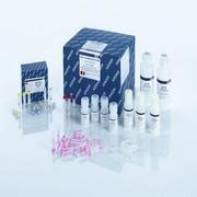 Epitect Fast Dna Bisulfite Kit