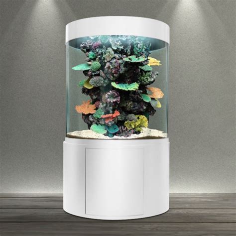 Bacmarin 21072012 Les Aquariums Cylindriques