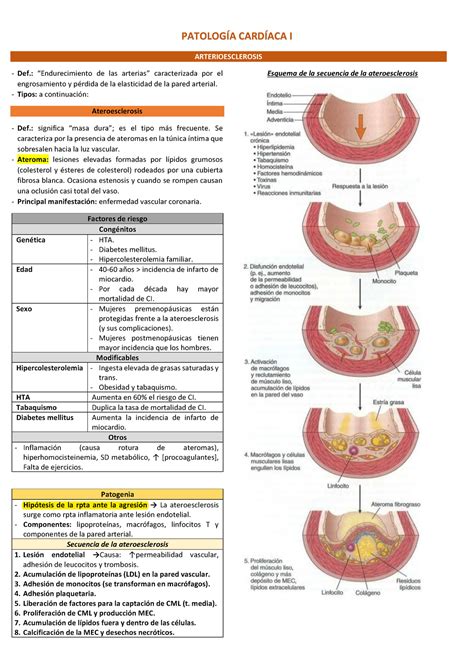 Patolog A Card Aca I Patolog A Card Aca I Arterioesclerosis Def