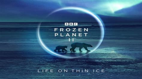 Frozen Planet Ii Season Episode Full Eps Youtube