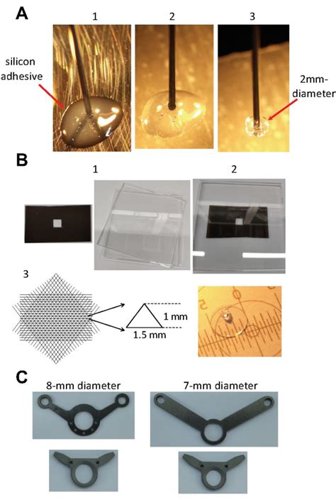 Calcium Imaging In Mouse Superior Colliculus Article Jove