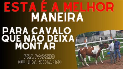 COMO QUE FAZER QUANDO O CAVALO NÃO DEIXA MONTAR YouTube