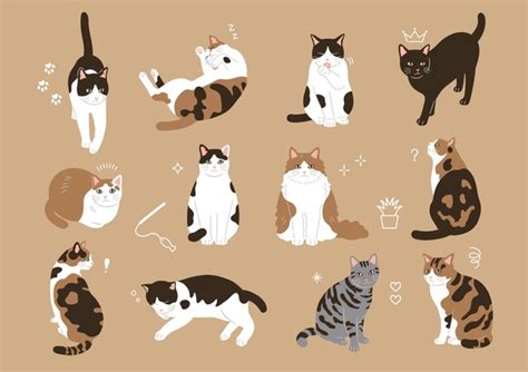 126 Calico Cat Back View Royalty-Free Photos and Stock Images ...