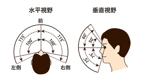 視能訓練士に学ぶ～見える生活を維持しよう！～｜社会医療法人三栄会 ツカザキ病院