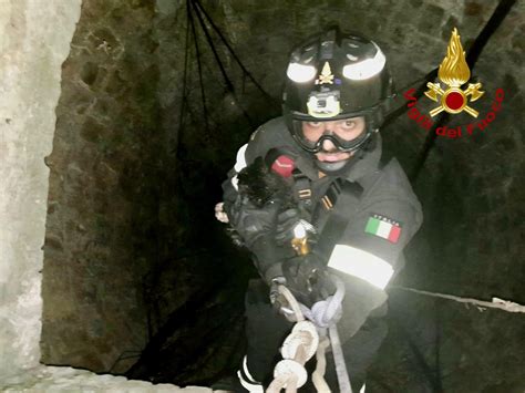 Gattino Cade In Un Pozzo Artesiano Salvato Dai Vigili Del Fuoco Foto