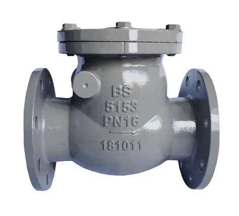 Swing Check Valve Sabelita Singapore