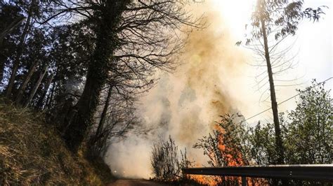 El Principado Sospecha Que Los Incendios De La última Semana Fueron