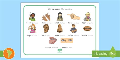 My Senses Body Parts Word Mat English Spanish My Senses Body Parts