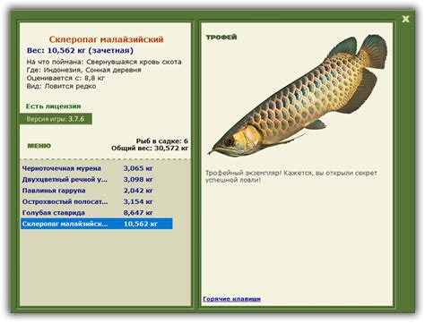 РУССКАЯ РЫБАЛКА Installsoft Edition