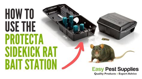 How To Use The Protecta Sidekick Rat Bait Station YouTube