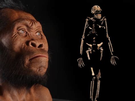 First Human Ancestors