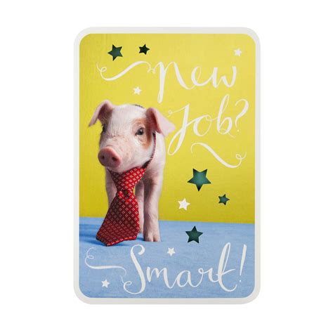 New Job Congratulations Card - Funny Photographic Card – Hallmark