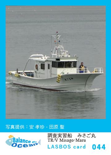 コース Akkeshi Marine Station LASBOS Moodle