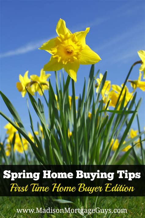 Yellow Daffodils With The Words Spring Home Buying Tips First Time Home