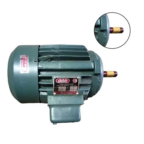 Buy Chetak Three Phase Hp Pole Foot Mounting Induction Motor Online