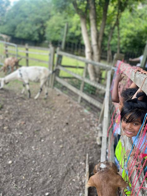 Fieldwork Fortnight 2024- Reception exploration of Hackney City Farm