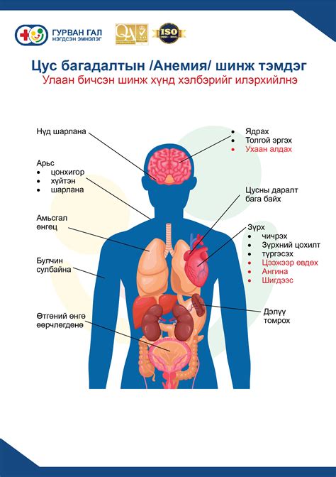 ЖИРЭМСЭН ҮЕИЙН ЦУС БАГАДАЛТ ГЭЖ ЮУ ВЭ