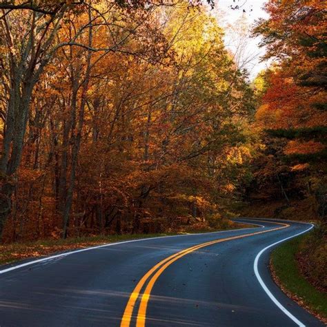 Photo Of Skyline Drive And Fall Colors