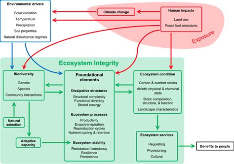 Ecosystem Integrity Primary Forests And Climate Program