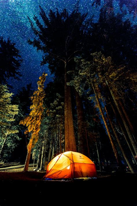 Forest/Camping | 26 best free camping, forest, outdoor and wallpaper photos on Unsplash